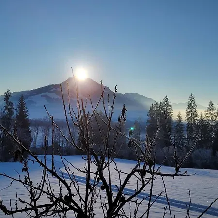 Appartamento Alpenchalet 